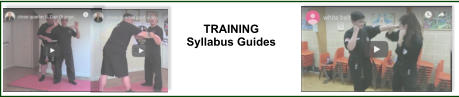TRAINING Syllabus Guides