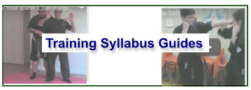TRAINING Syllabus Guides Training Syllabus Guides