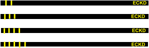 ECKD ECKD ECKD ECKD
